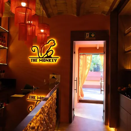 The Monkey Roma